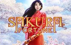 Oynamaq Sakura